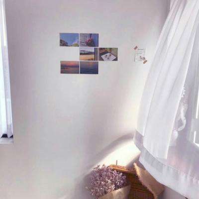 im电竞官网注册